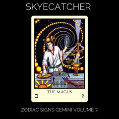 Zodiac Signs Gemini Volume 7