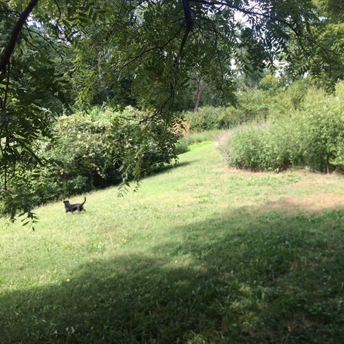 And On A Brighter Note....wav