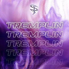 Tremplin Insane Festival 2026