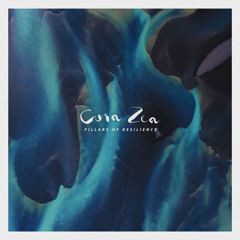 Swarm of Well-Wishers