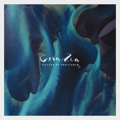 Swarm of Well-Wishers