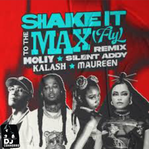 DJConnorrD (Shake It To The Max Riddim).mp3