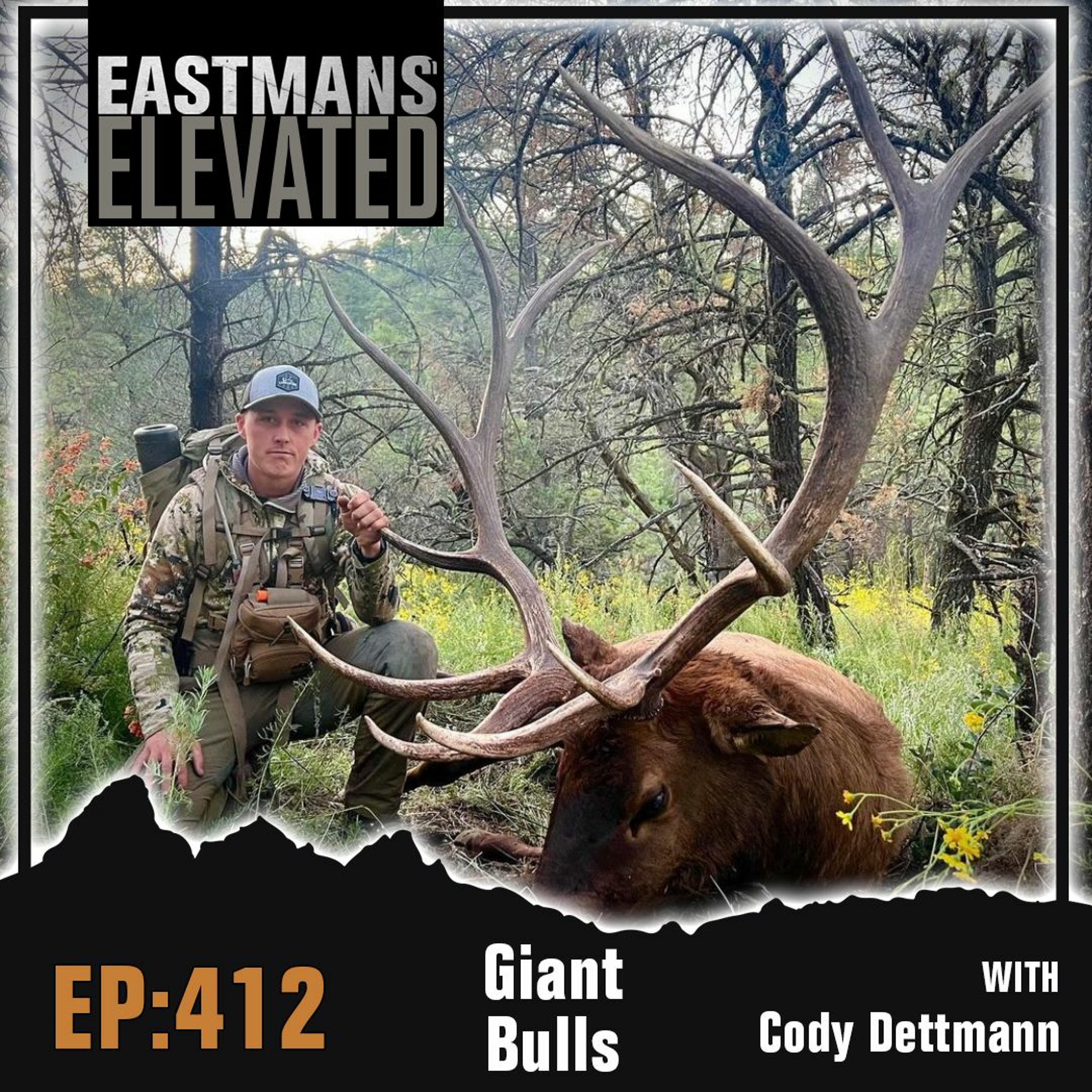 Episode 412:  Giant Bulls With Cody Dettmann