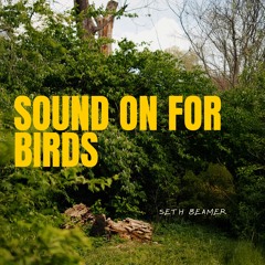 Sound On For Birds