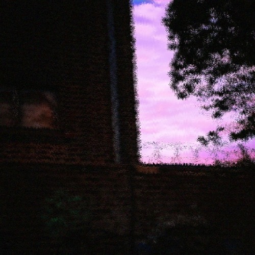 never (prod. switch)