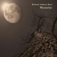 Moonrise | Richard Anthony Bean