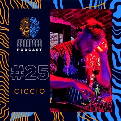 CICCIO(Vinyl Only) [Synapses Podcast 0025/2022]