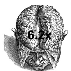 6.2x