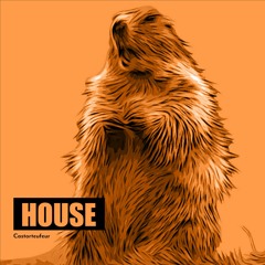 02_07_PROGRESSIVE HOUSE