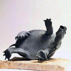 افتاده بر لاک خویش