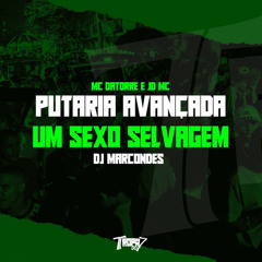 Putaria avançada - Um sexo selvagem