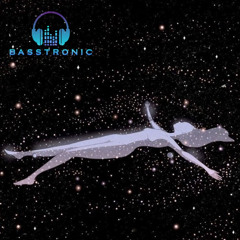 BASStronic - Fxlling Apxrt