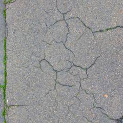 Dreamed of Concrete Again and It Didn’t Say Anything Back