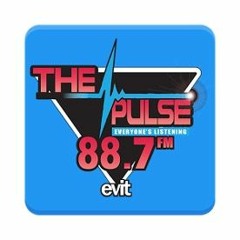 The Public Pulse - Tribute to Scott Ragotskie