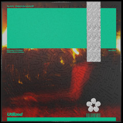 PREMIERE: Daniel S. – Shake It Like a Crow [UTLZ003]