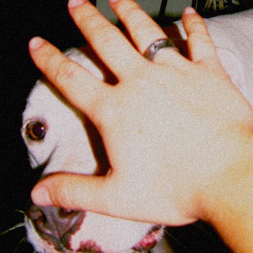 silo - Tethered