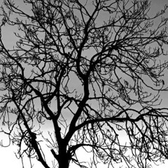 Always I By Melly