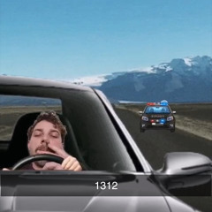 1312 Kreitner Hotline