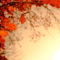 Ashot Danielyan - October Vibes