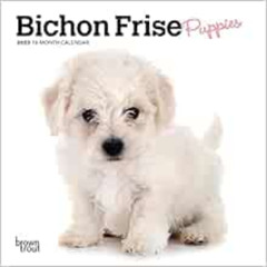 [ACCESS] EBOOK 📍 Bichon Frise Puppies | 2023 7 x 14 Inch Monthly Mini Wall Calendar
