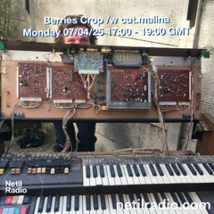 Berries Crop w/ cut.malina - 7th April 2025