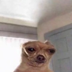 Music Sounded Better With You