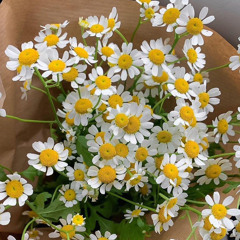 Baby Baby- 4men (Full audio Cover)