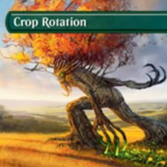 Rotation Fixation