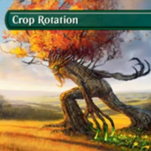Rotation Fixation