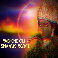 Pachche Gili (Shamik remix)