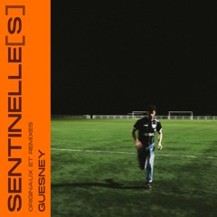 Dernier Avertissement (Guesney Auto Remix)