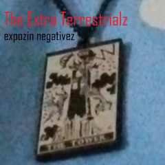 expozin negativez freestyle