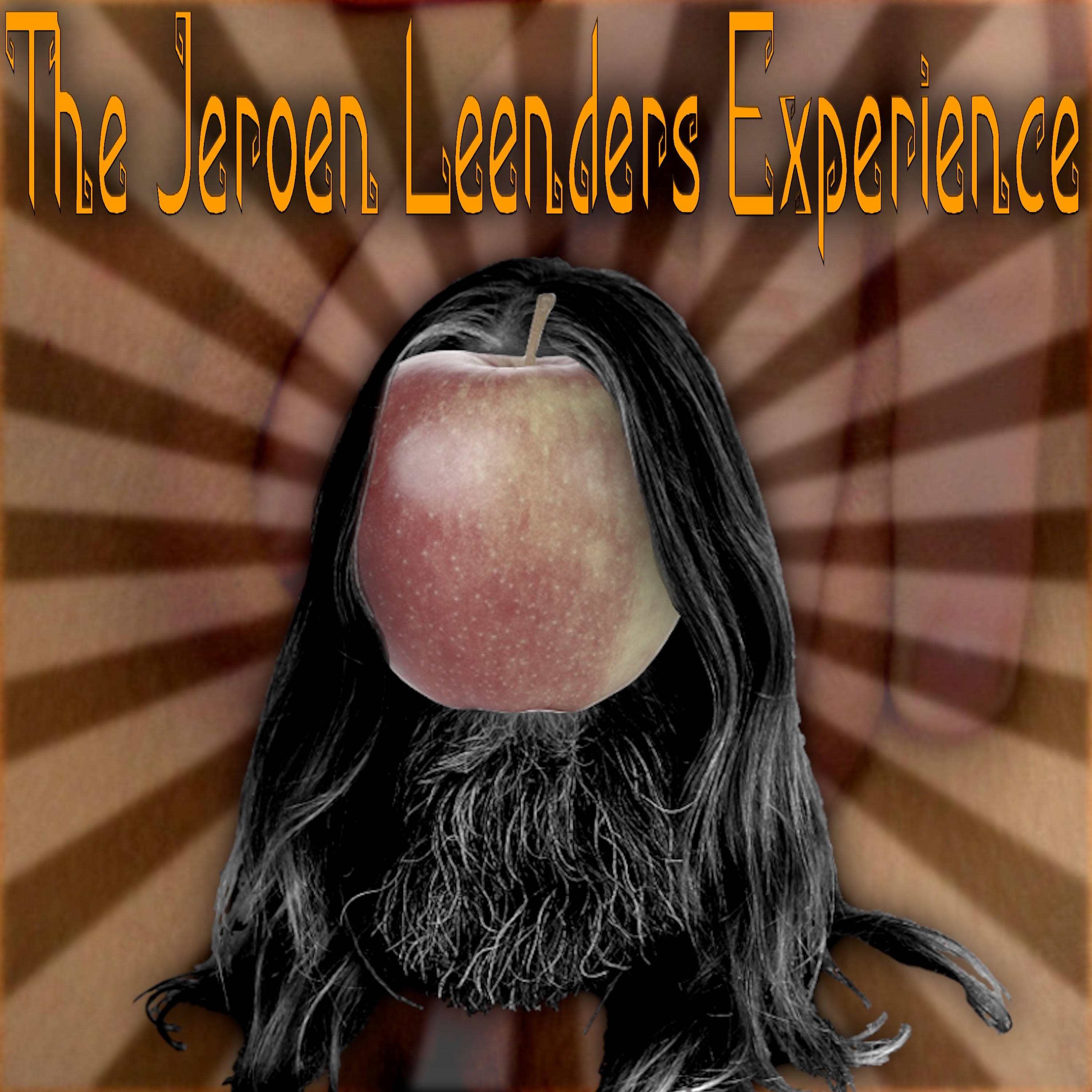 Jeroen Leenders Experience