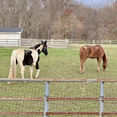 see you later, i'm gone