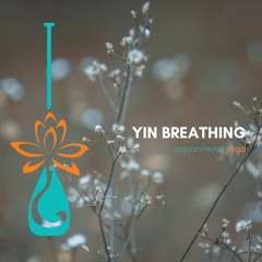 Yin Breathing