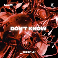 PREMIERE : THE BRUM - Don't Know
