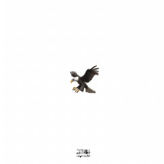 BIRD !