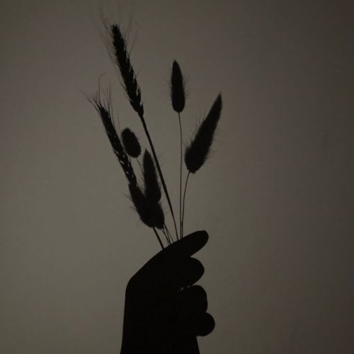 RXBNQ - Танець тіней