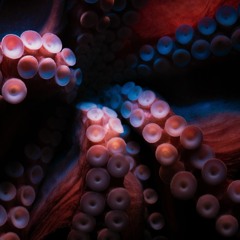 Dream Portal - awash