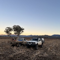 Country