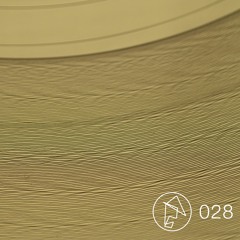 Embodiment 028 - Laertes