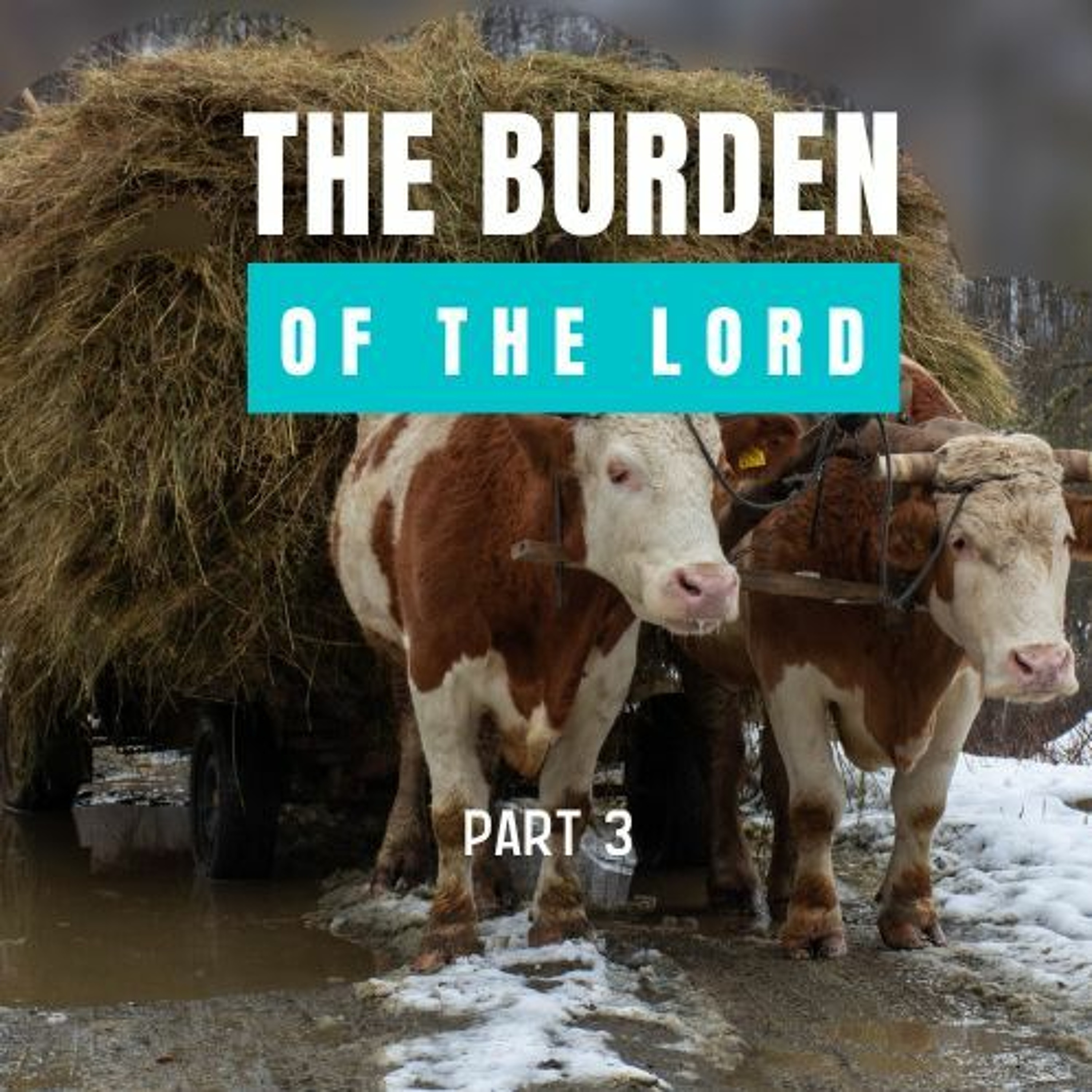 The Burden of the Lord (PT. 3) // Pas Subash Cherian episode artwork