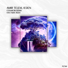 DHS Premiere: Amir Telem, ICoen - CosmicBuddha (Ivan Fabra Extended MIx) [Polyptych]