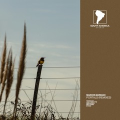Marcos Mariano - Tetrahedron (Byhon Remix) [South America Avenue]