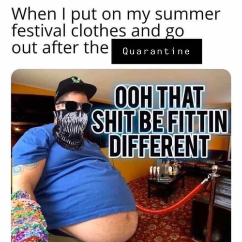 Griztronics IDHS Bewtleg WIP