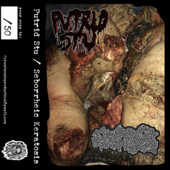 Putrid Stu - Obscured By Clout