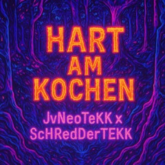 Hart Am Kochen - JvNeoTekK x ScHRedDer_TEKK