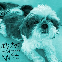 Mister Water Wet - Penny Mama
