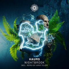 HAUMS - Nightbrook (Original Mix)