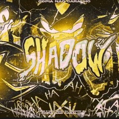 🌟 | THE PERFECT SLIDE | 🌟  ▪︎  DJ SHADOW ZN